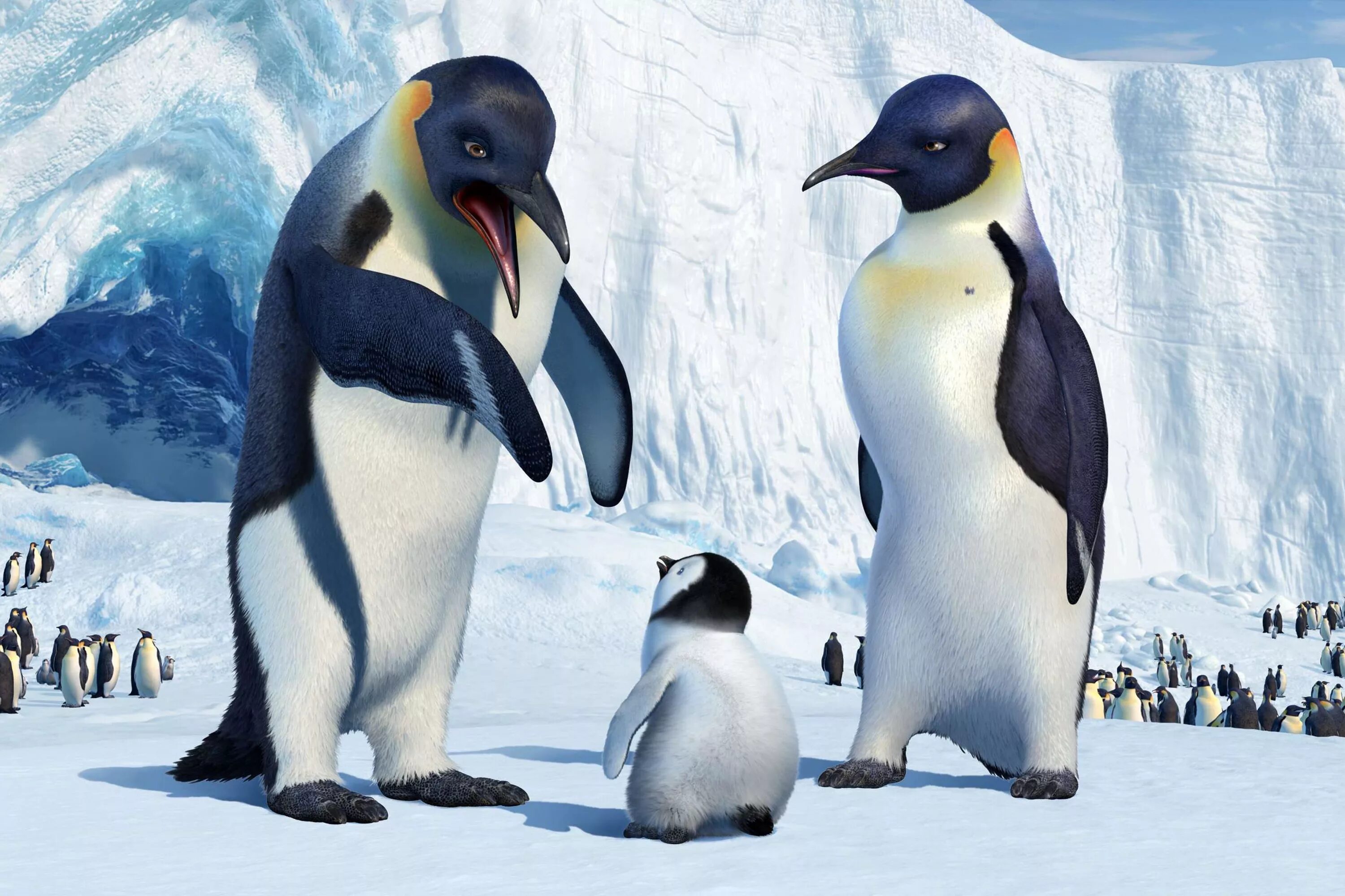 Делай ноги намазать. Делай ноги. Happy feet 2006. Пингвин на фоне неба. Happy feet 2006.