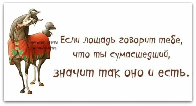 Любите людей за поступки красивых на свете не счесть. Что означает полоумный человек. Что значит безумно. Что значит слово безумство. Что значит безумно.