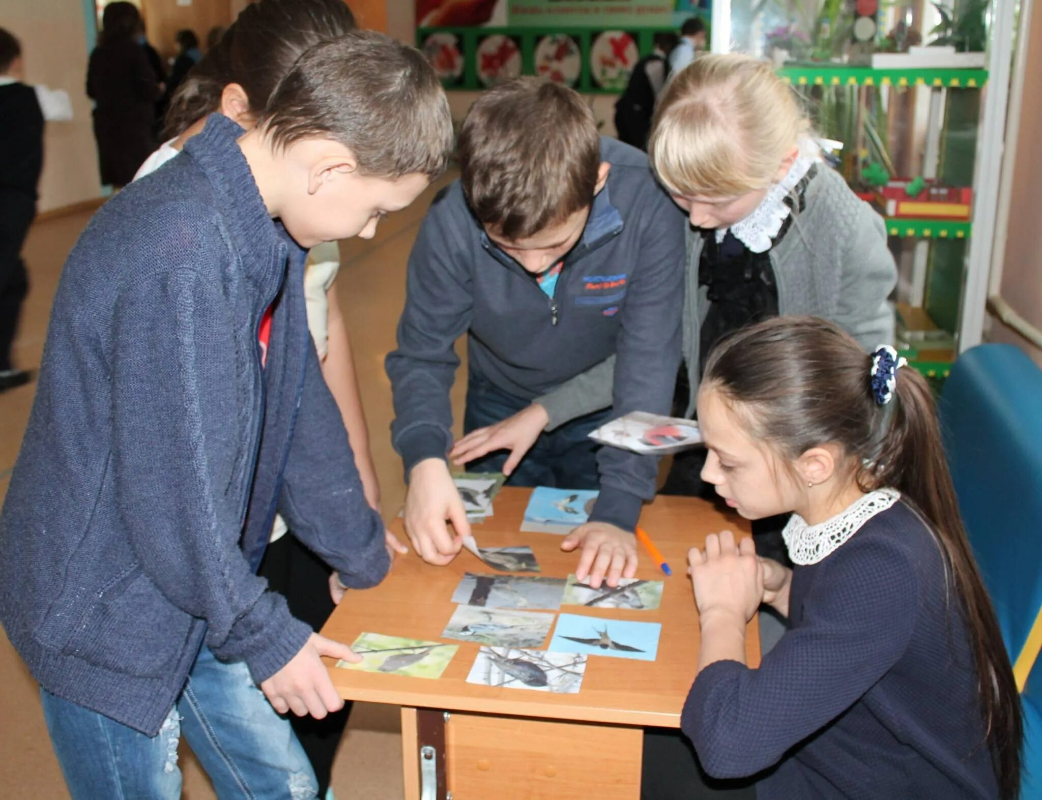 Птица квест фото. Квест ко дню птиц. Карелия экофест. Пернатый квест. Джуманджи квест фото.