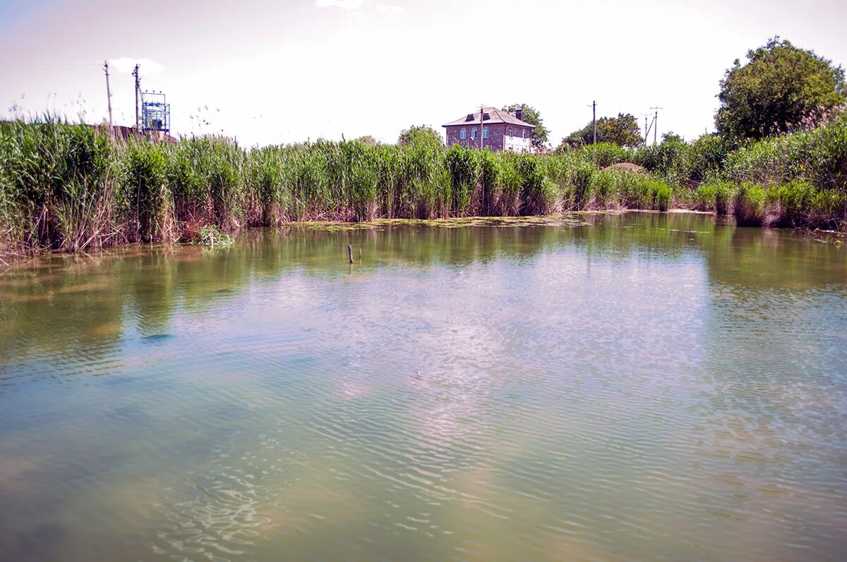 Пруды ростова на дону. Можайская роща ростов на дону. Пруды ростова на дону. Можайские пруды ростов на дону беседки. Можайские озера ростов.