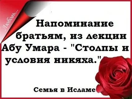 Иногда брат