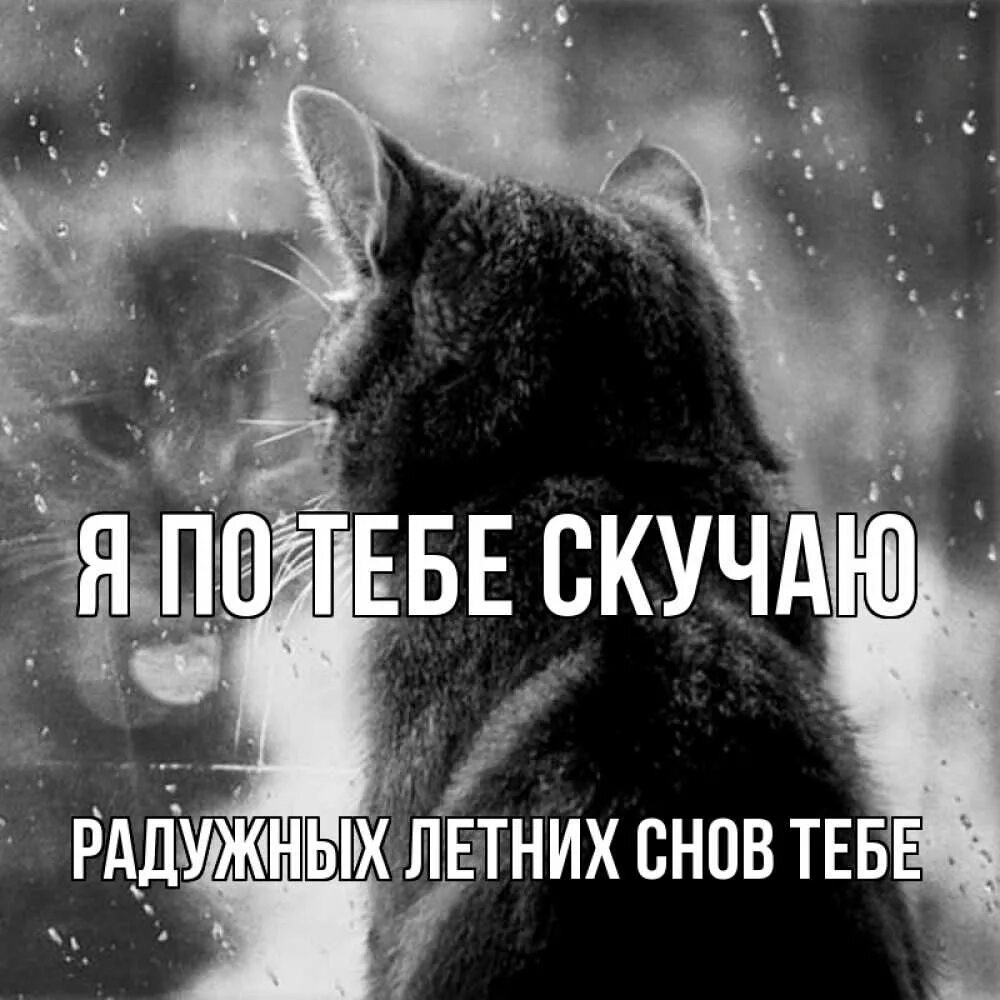 Буду очень скучать по всем