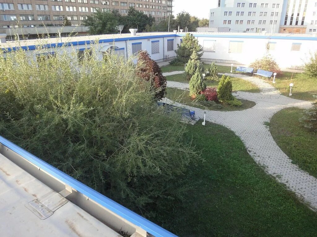 Волгоградский областной уронефрологический центр волжский. Волгоградский областной уронефрологический центр волжский. Уронефрологический центр волжский. Уронефрологический центр в волжском. Центр почки волжский.