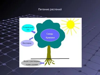Сок сахар крахмал