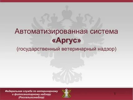 Система аргус