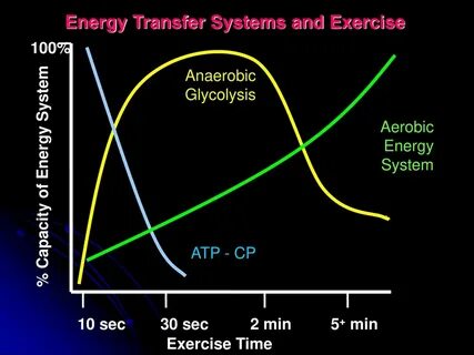 System exercise