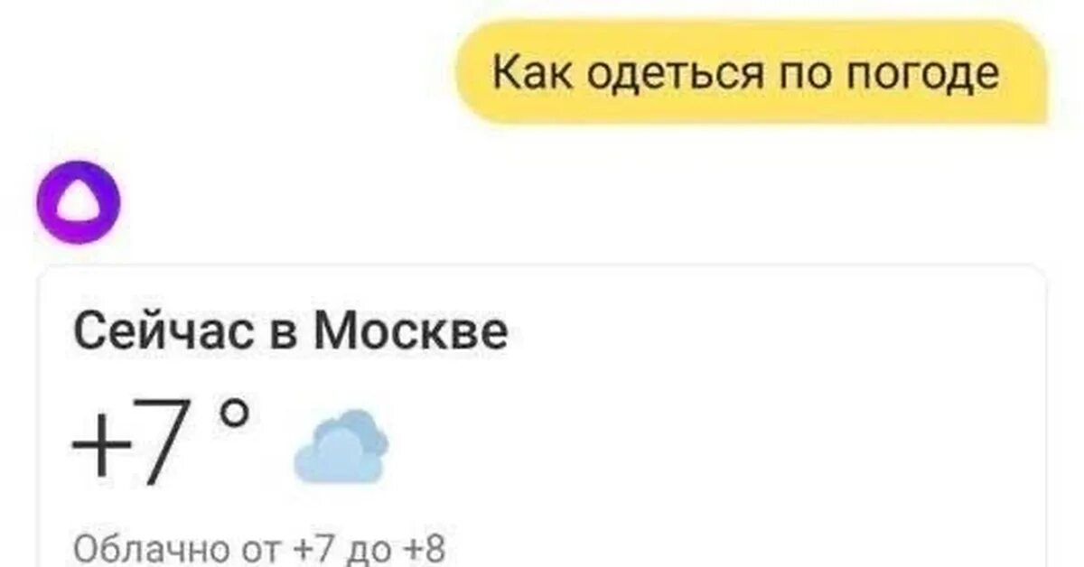 Привет алиса погода. Алиса погода. Алиса что мне одеть. Алиса что одеть надеть извините.