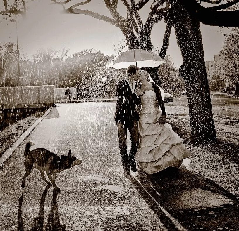 Монохром в фотографии. Пейзаж города. Монохромные снимки. Свадебный фотограф рустам хаджибаев. Монохромные фотопортреты.