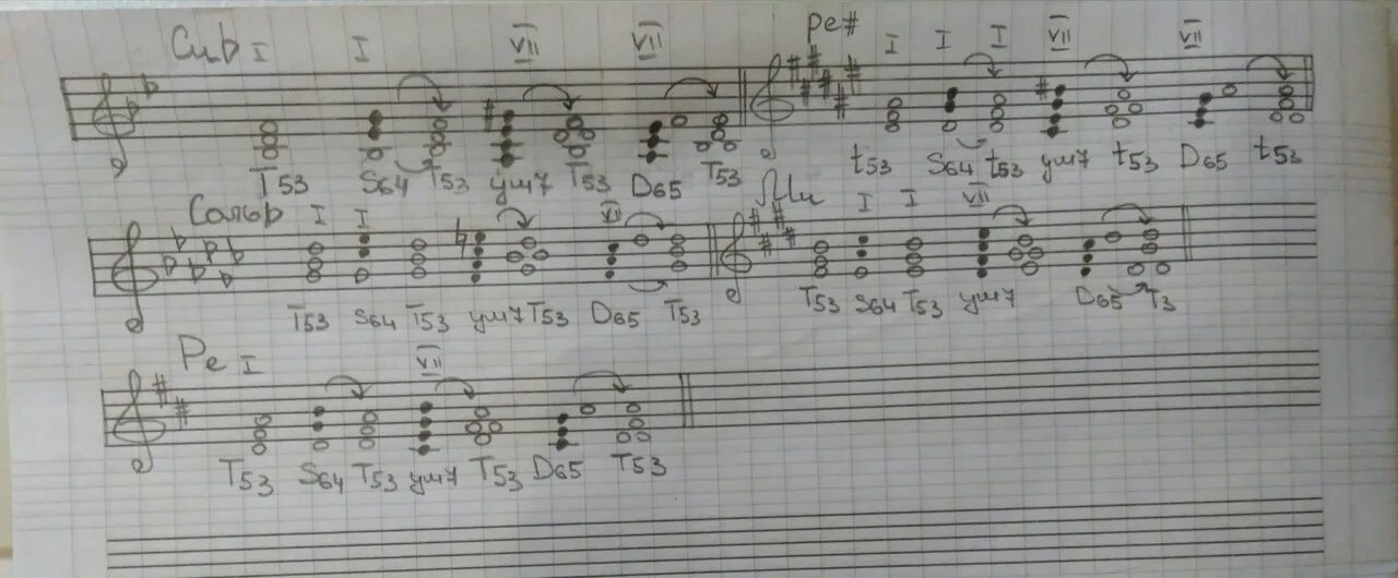 Соль мажор t53 s53. Сольфеджио фа мажор t64 s53 t6. T53 s53 d53 в соль мажоре. Соль мажор t53 s53 d.