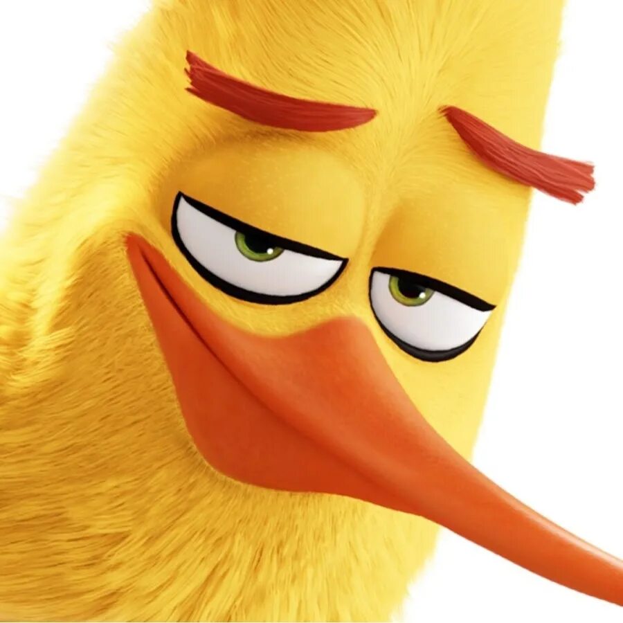 Angry chew. Энгри вейп подик. Angry chew. Angry chew. Энгри бердз 2 чак.