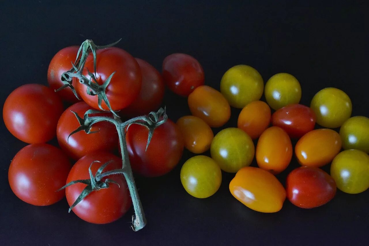 овощи красного цвета. томат иришка f1. помидор красного цвета. овощи красного цвета. томат виноградный черри.