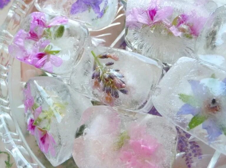 Можно ли заморозить цветы. Кубики льда с цветами. Кубики льда с травами. Замороженные цветы. Лед с цветами.