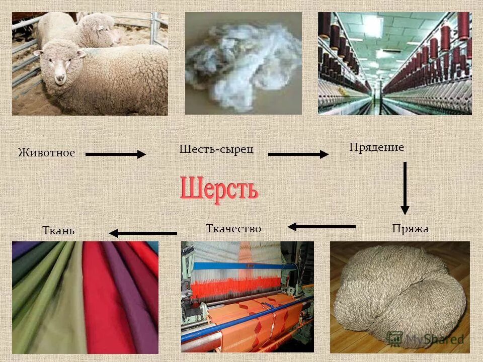 переработка шерсти. пимокатный цех. технология шерсти. технология шерсти. технология производства шерсти и баранины.