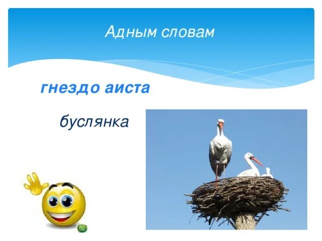 Предложение со словом гнездо. Предложения со словом гнездовье. Гнездо слов. Текст гнездышко.