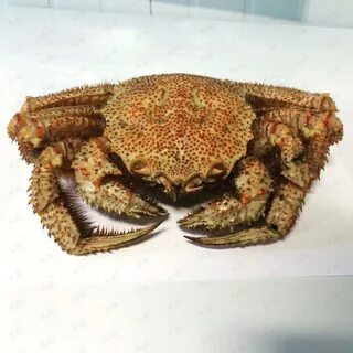 Крабика прайс