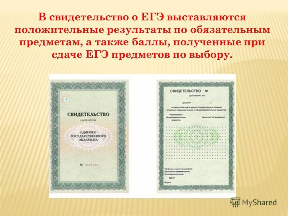 Получить сертификат егэ. Получить сертификат егэ