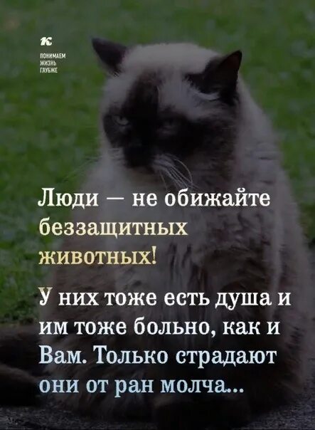 Как называется человек который обиделся
