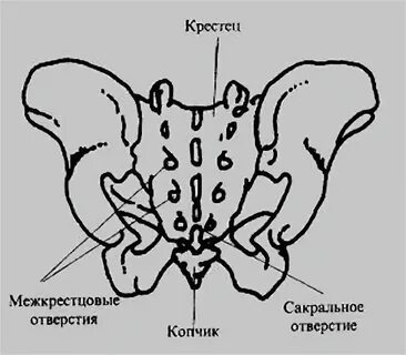 Пятно на крестце