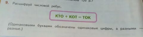 Кот под цифрой 3