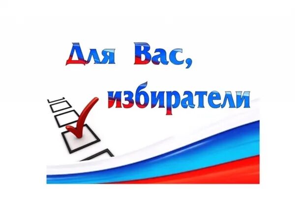 Молодой избиратель. День молодого избирателя плакат. Для вас избиратели. Эмблема выборов.