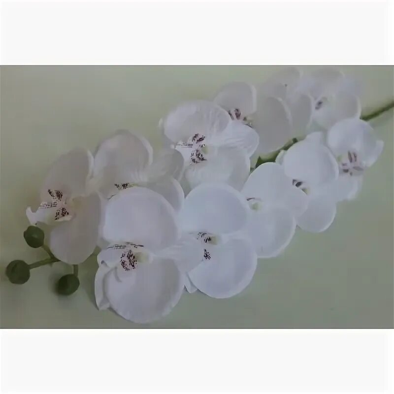 Орхидея 18. Сатин 7 d -11орхидеи. Композиция с орхидеями. Жёлтая орхидея с розовым центром. Букет из орхидей.