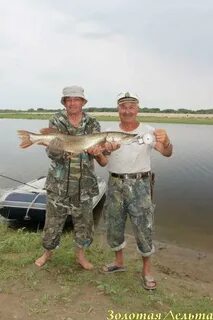 Погода рп5 ахтубинск астраханская область