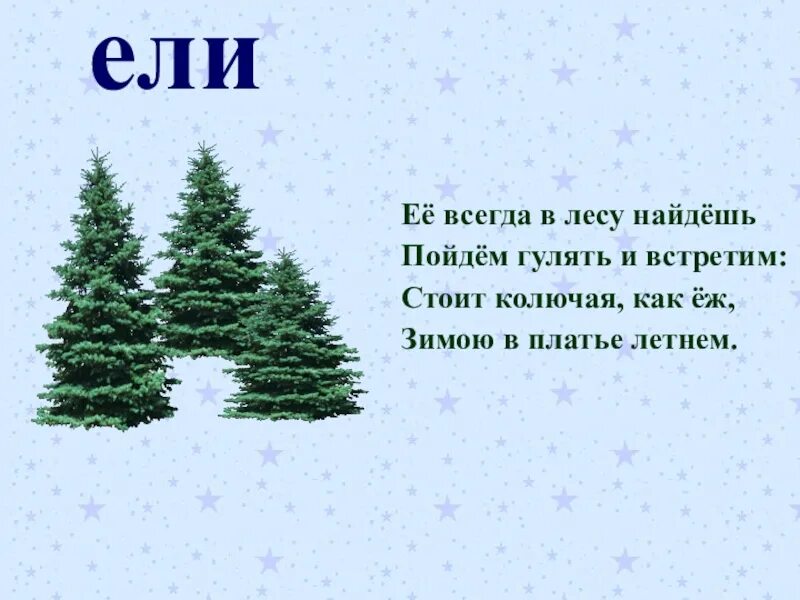 Слова с ель. Слово ели. Её всегда в лесу найдёшь стоит колючая как ёж. Её всегда в лесу найдёшь. Ель слоги звуки