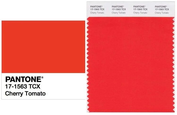 17-1563 Пантон. Pantone Cherry Tomato. Пантон красный цвет TCX. Томатный цвет пантон. Pantone mushroom