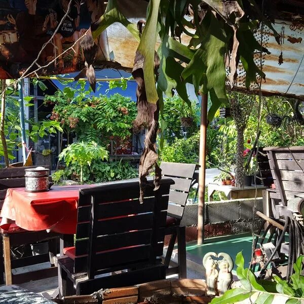Банановый бар. Бар bananas. banana bar амстердам. бар банан в амстердаме. астердам бар bananas.