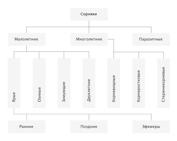 Классификация сорных растений таблица. Классификация сорняков. Классификация сорных растений. Классификация сорных растений схема. Классификация сорных растений.