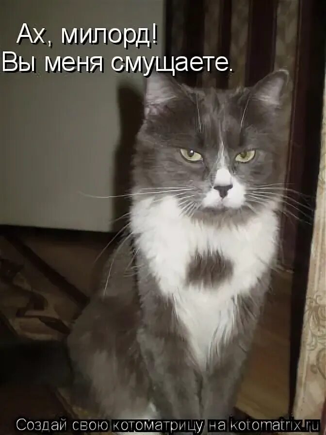 Ой это вы мне