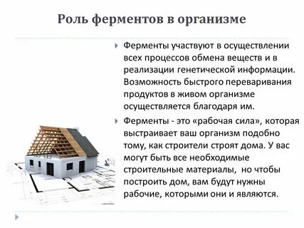 Ферменты конспект