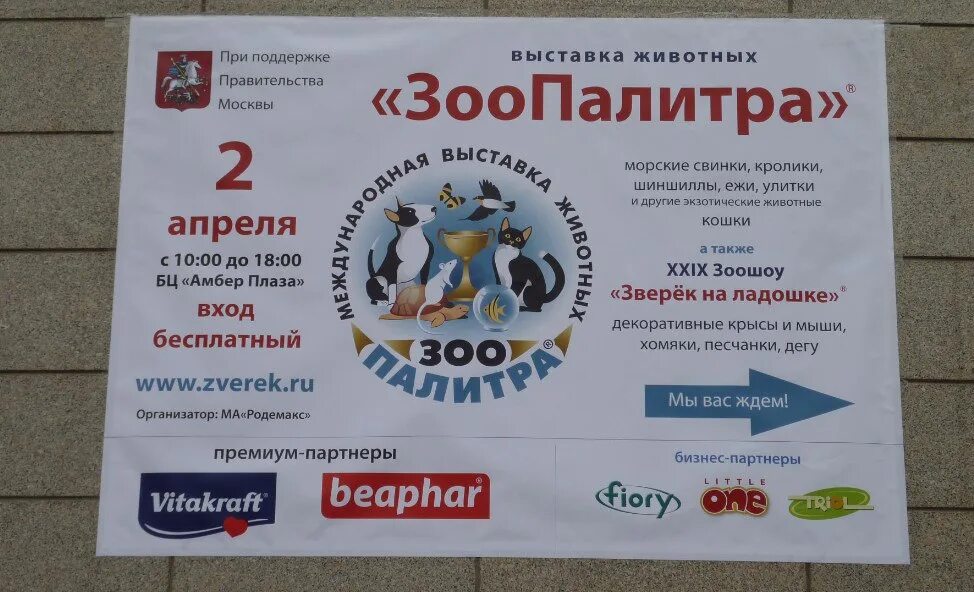 Выставки животных в москве 2025. Выставка зоопалитра. амбер плаза выставки. выставки животных в москве завтра. зоопалитра 2025 выставка в москве маршрут.