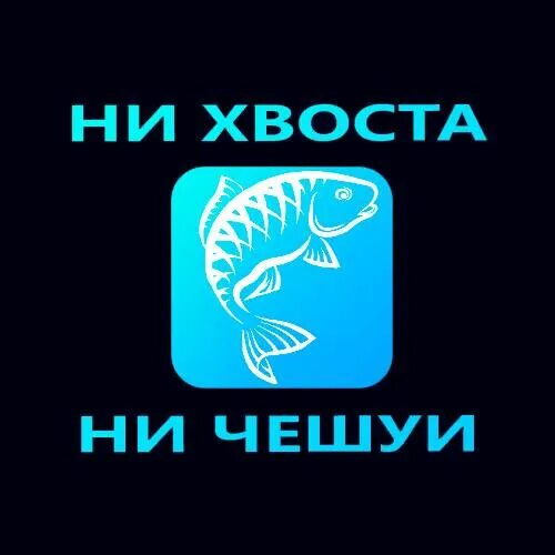 Слушать хвост чешуя не. Ни хвоста ни чешуи. Атрибутика рыбака. Слушать хвост чешуя не. Ни хвоста ни чешуи.