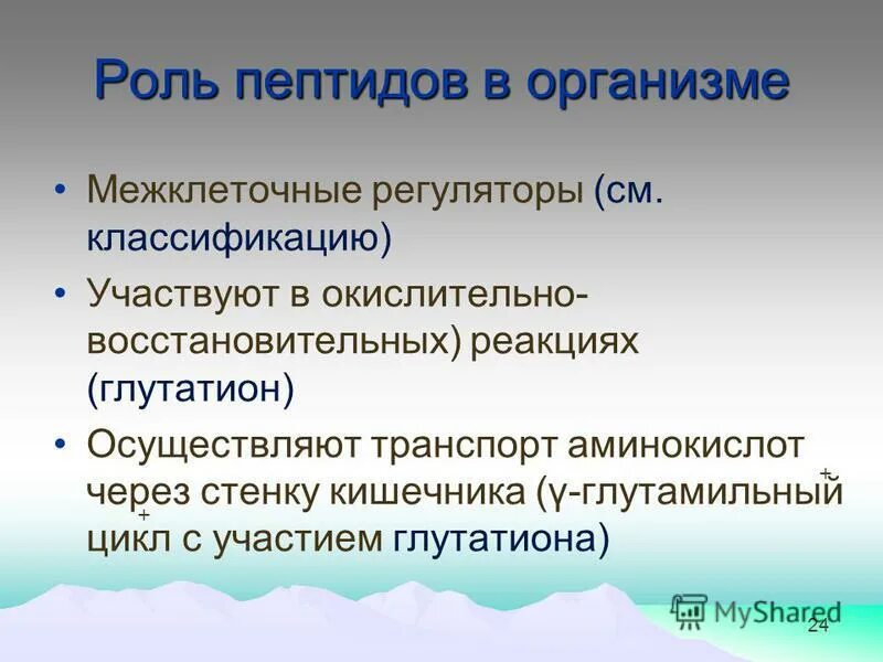 биологическая роль пептидов