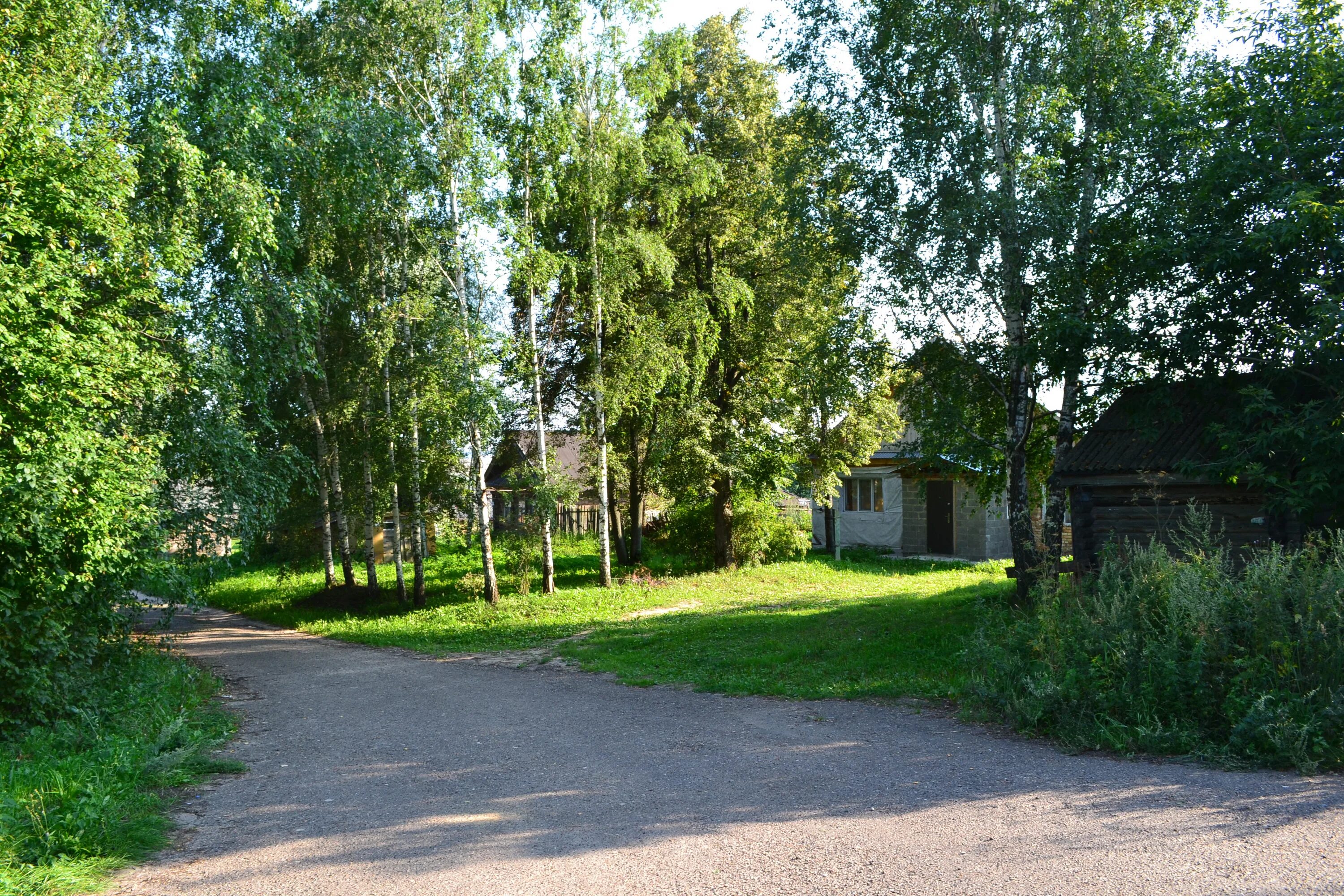 Погода деревня владимировка. Новая владимировка нижегородская область. владимировка (ломоносовский район). владимировка тогучинский район. деревня владимировка ломоносовский район.