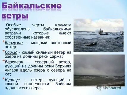 Особые черты