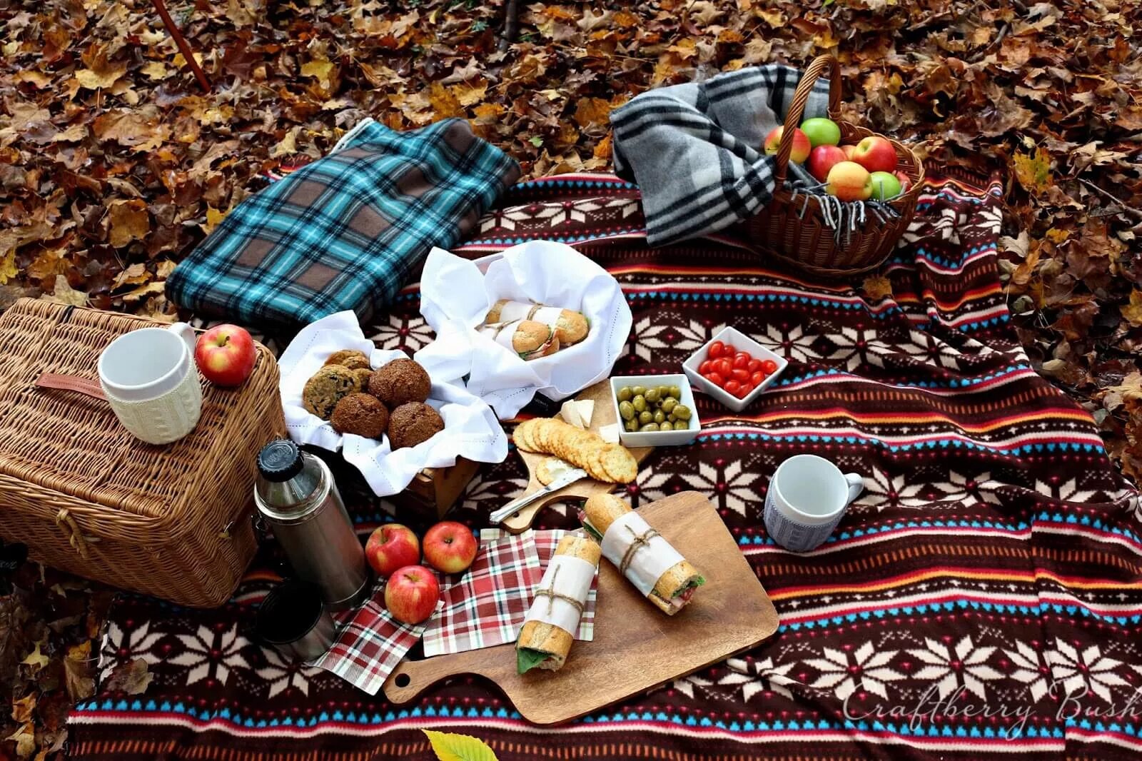 Что нужно есть осенью. Осенний пикник. Пикник на природе осень. Пикник в осеннем лесу. Осенний пикник на природе фотосессия.