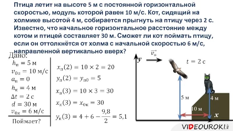 Стрела вылетает из арбалета вертикально вверх. С какой скоростью летают птицы. Птица летит вертикально вверх.. Высота на которой летают птицы. Импульс тела при падении с высоты.