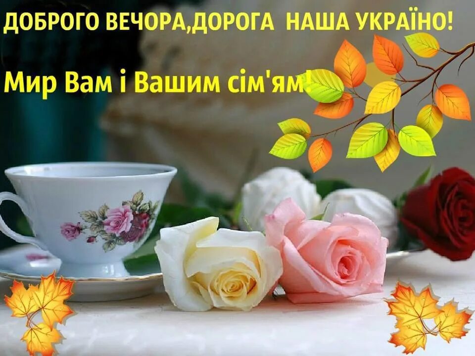 Пожелание спокойной ночи на украинском. Добрый вечер на украинском языке. С добрым вечером картинки на украинском языке. Добрый вечер на украинском. С добрым вечером картинки на украинском языке.