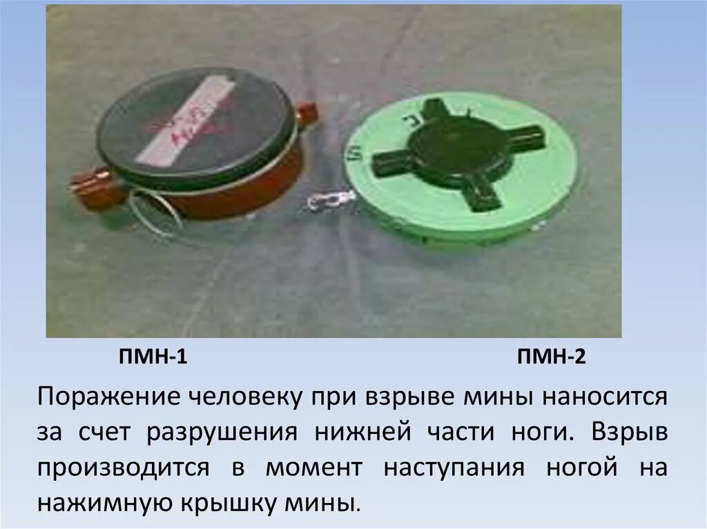 Противопехотная мина ПМН-2. ПМН-1 противопехотная мина. Противопехотные мины ПМН, ПМН-2, ПФМ-1с. Противопехотная мина ПМН 1 ТТХ. Действие противопехотной мины