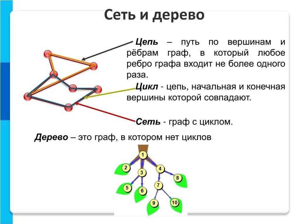 Дерево графа. Графы деревья. Графы сети деревья. Сеть цепь дерево.