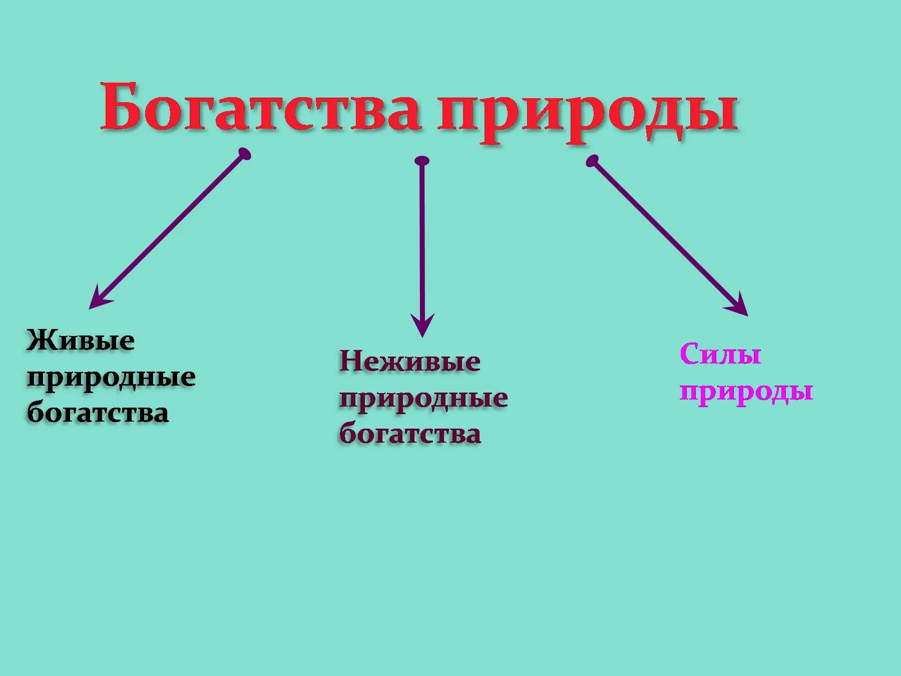 Природные богатства предложение. Природные богатства. Богатства природы. Богатства природы отданные людям. Неживые богатства природы.