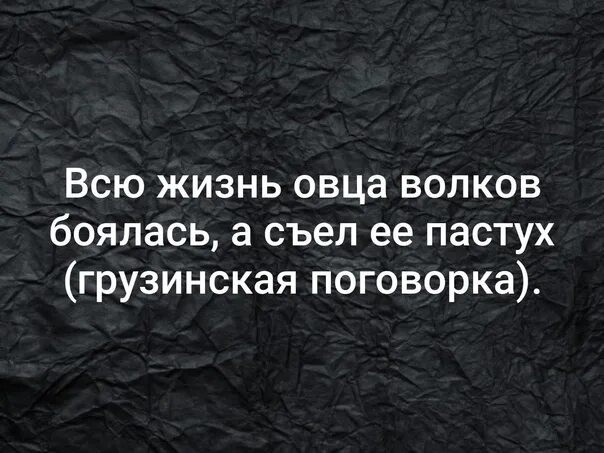 Страх жизни. Всю жизнь овца Волков боялась. Всю жизнь овца Волков боялась а съел ее пастух. Грузинские поговорки. Грузинские пословицы.