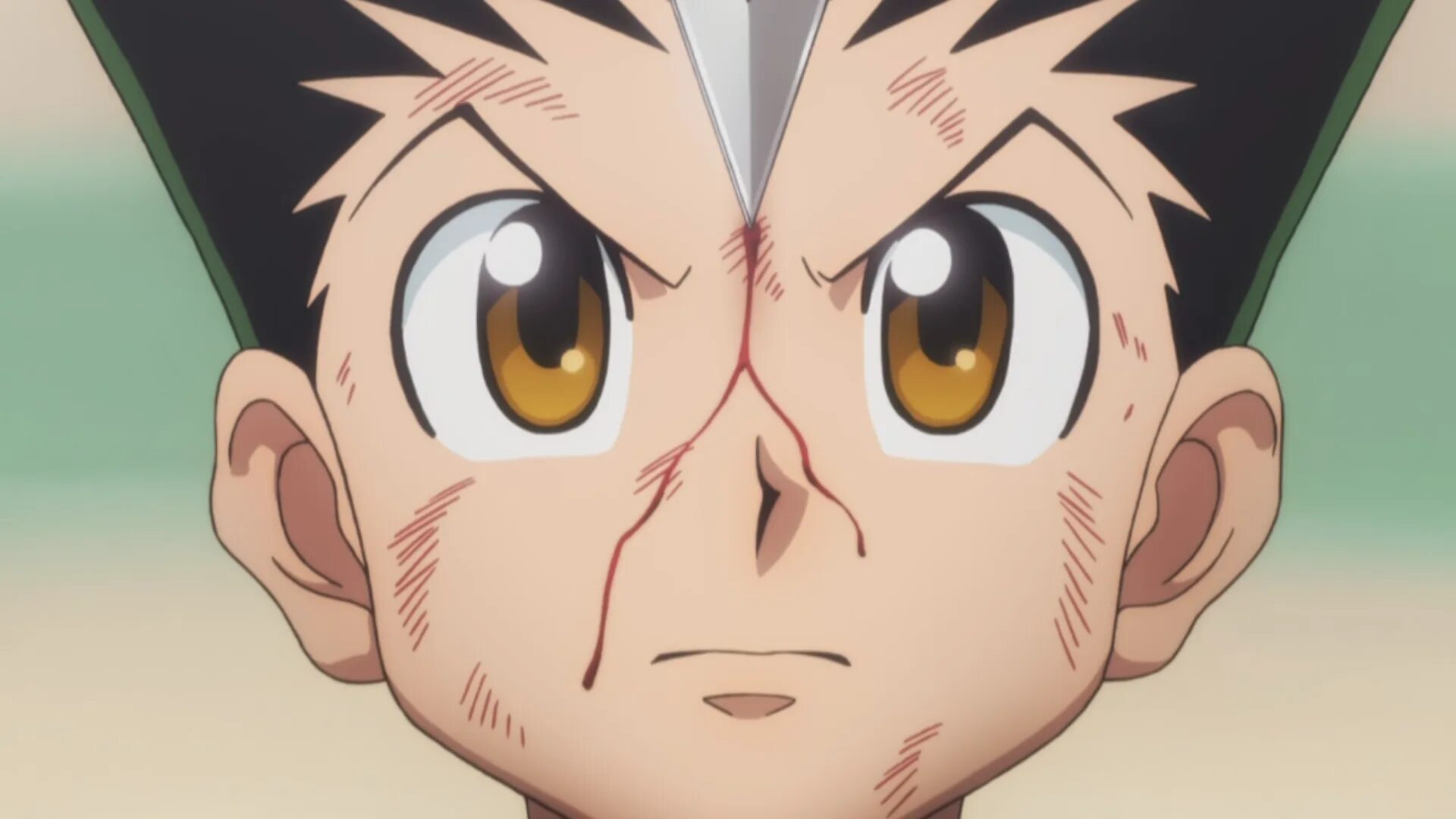 Кинн хантера х хантер. Hunter x hunter гон фрикс. хантер х хантер gon. hunter x hunter злой гон. хантер х хантер аниме gon.