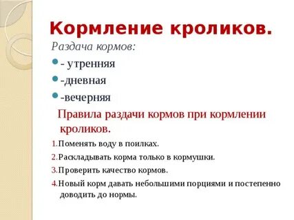 Кроликам можно давать помидоры