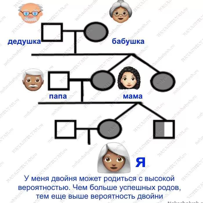 В роде ивановых были близнецы