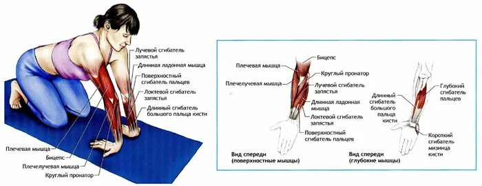 Разрыв мышц признаки