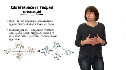 Лекции эволюция