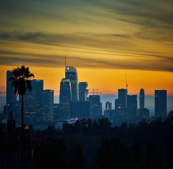 Belgium Consulate General in Los Angeles: Absolute Guide for Visa Procedure Los 